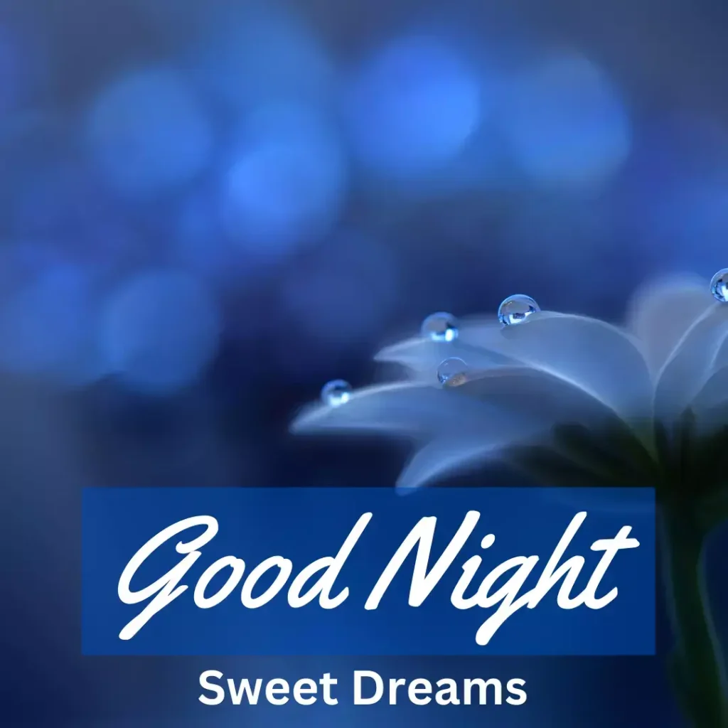 Good night images Blue background with white flowers sweet dreams 
