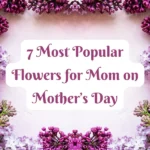 7 Most Popular Flowers for Mom on Mother’s Day