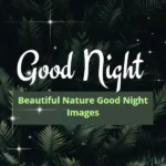 beautiful nature beautiful good night images