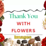 Thank you images with flowers